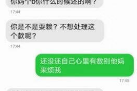 丽江丽江的要账公司在催收过程中的策略和技巧有哪些？